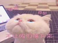 句容苏南建材有限公司