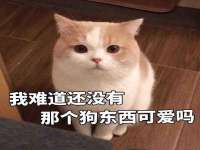 句容苏南建材有限公司
