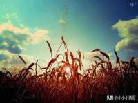 句容苏南建材有限公司