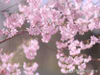 句容苏南建材有限公司