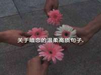 句容苏南建材有限公司