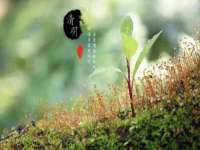 句容苏南建材有限公司