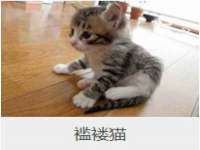 句容苏南建材有限公司