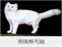 句容苏南建材有限公司
