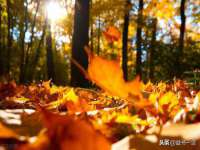 句容苏南建材有限公司