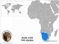 句容苏南建材有限公司