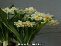 句容苏南建材有限公司
