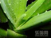 句容苏南建材有限公司