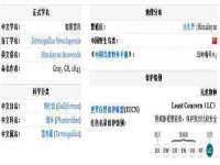 句容苏南建材有限公司