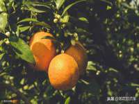 句容苏南建材有限公司