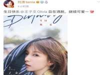 句容苏南建材有限公司