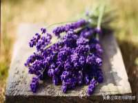 句容苏南建材有限公司